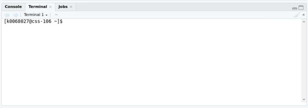 The terminal tab in RStudio showing a terminal connected to the host css-106