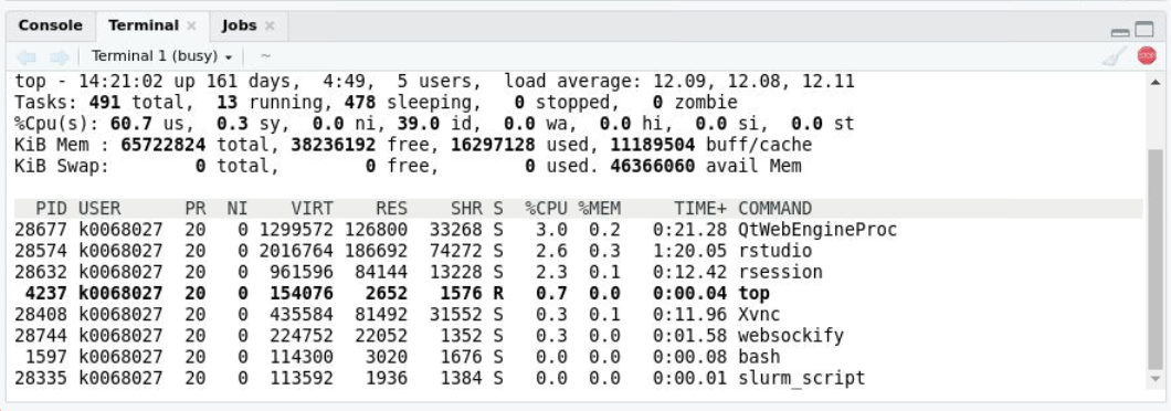 The top command running through the RStudio terminal. In addition to some auxiliary processes, one row in the top output has 'rstudio' in the COMMAND column.